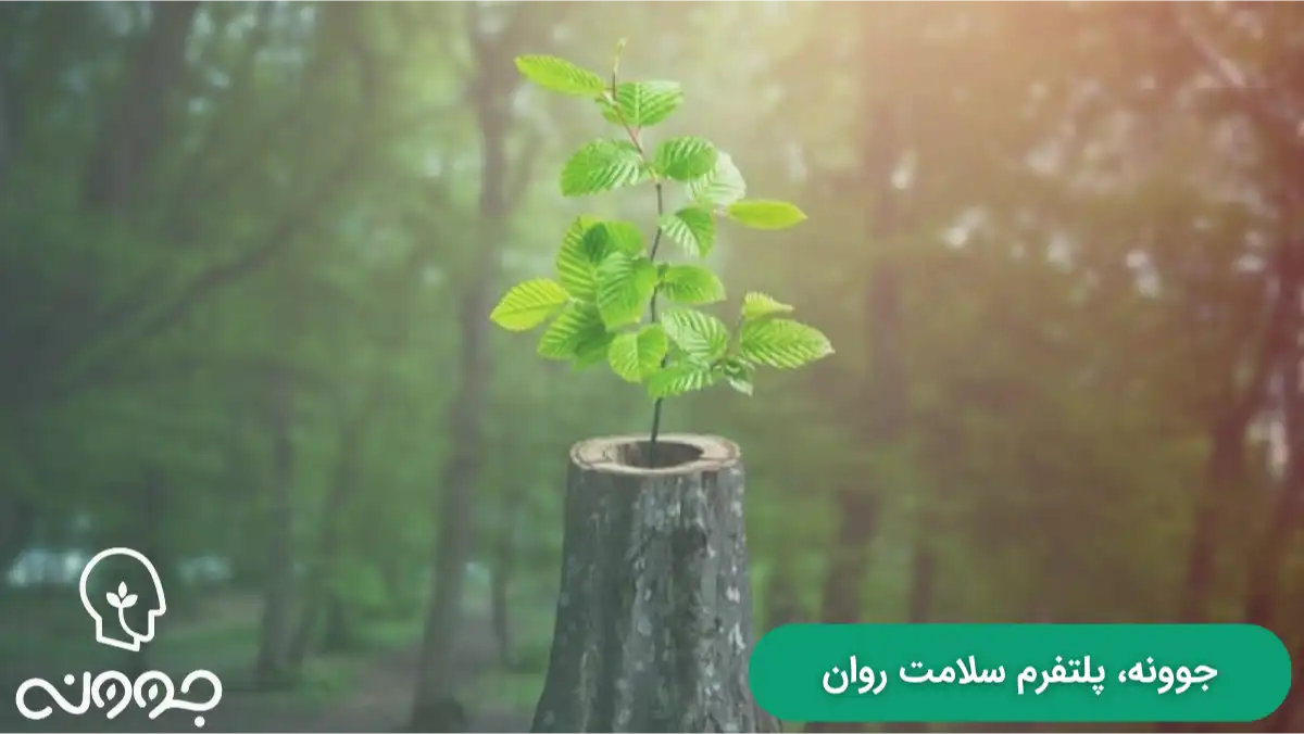 ابعاد تاب آوری